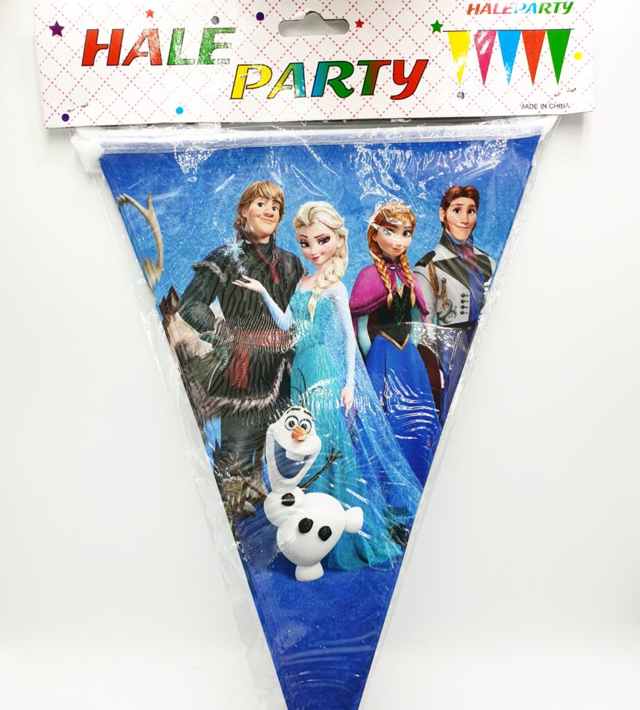 Frozen Bunting - D Party Shop